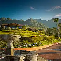 Picture for song 'ALTA GRACIA' by artist 'Mauricio Manchon'