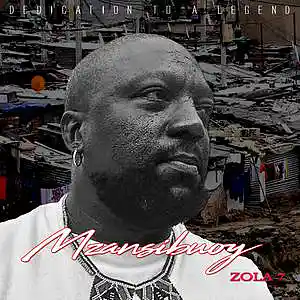 Picture for song 'Zola 7' by artist 'Mzansibuoy'