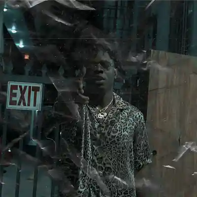 Picture for song 'SAVAGE - Trap Type Beat' by artist 'neyoooo36'