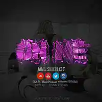 Song picture