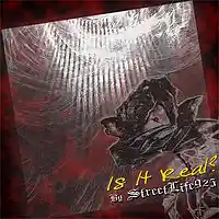 Picture for song 'Is It Real? (FREE D/L)' by artist 'StreetLife Rap Music'