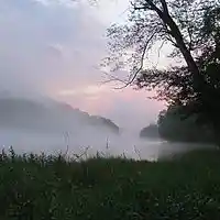 Picture for song 'DOWN BY THE RIVER' by artist 'tamsnumber4'