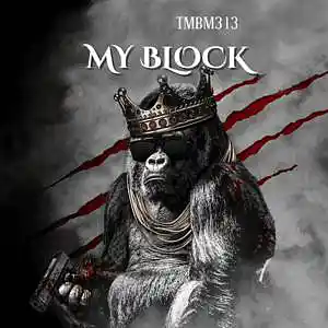 Picture for song 'My Block' by artist 'TMBM313'