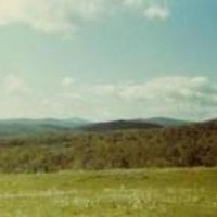 Picture for song 'Now and Then (feat. Julie Maners)' by artist 'Cathy Wilson - Songwriter'