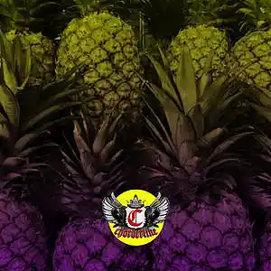 Picture for song 'PINEAPPLE (Dababy Lil Yachty Type Beat)' by artist 'Chorderline'