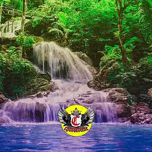 Picture for song 'WATERFALL (Trevor Daniel Tyla Yaweh type beat)' by artist 'Chorderline'