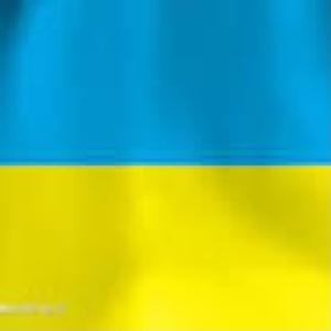 Picture for song 'Blue and yellow' by artist 'Christian Faivre'