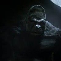 Picture for song 'DEFIANCE' by artist 'Hiiwaymuzik'