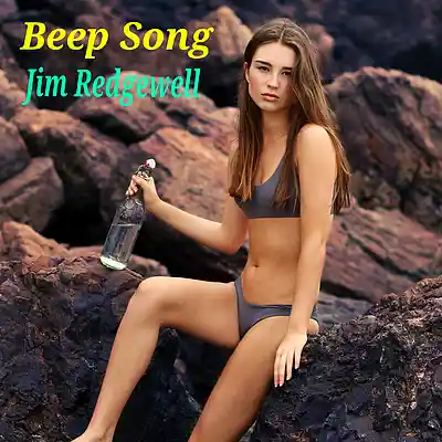 Picture for song 'Beep Song' by artist 'Jim Redgewell'