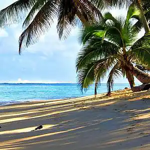 Picture for song 'island' by artist 'Kenny8eats'