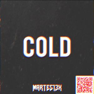 Picture for song 'Cold 123 Bpm' by artist 'Martes13x'
