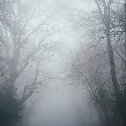 Picture for song 'same deep water as you (cure cover)' by artist 'Open Wound'