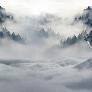 Picture for song 'Cold Temptations' by artist 'Polar Fox'