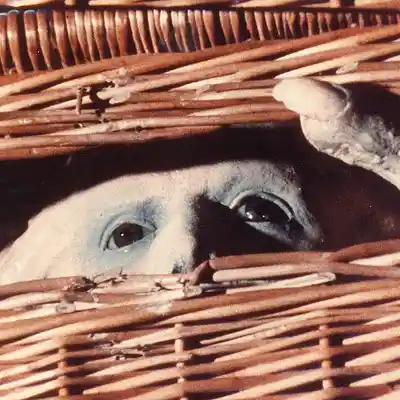 Picture for song 'Basket Case Theme' by artist 'Previous Signs of Decay'