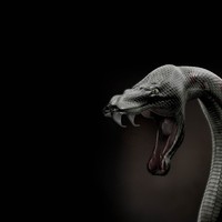 Picture for song 'Venomous 2' by artist 'RioBproduction'