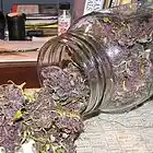 Picture for song 'Can't Help It - REN' by artist 'Renegade Muzik'