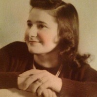 Picture for song 'Vickys Fantasy' by artist 'The Stray Dawgs'