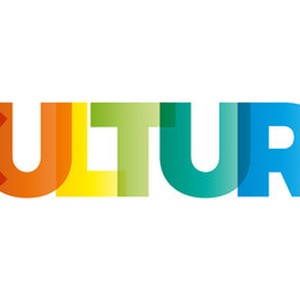 Picture for song 'culture' by artist 'volcanomusic'