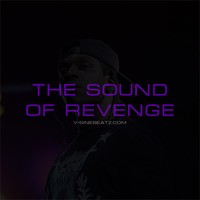 Picture for song 'The Sound Of Revenge (Buy 1 Get 1-3 FREE)' by artist 'V-Sine Beatz'