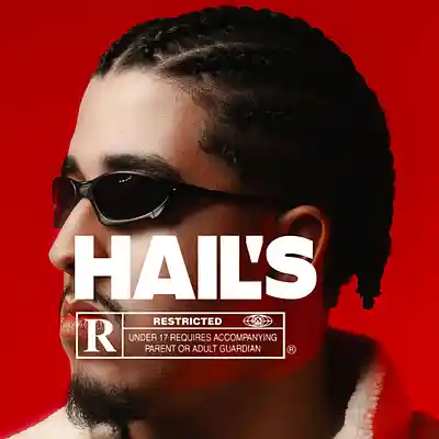 Picture for song 'HAIL'S' by artist 'Whillzkninabeats'