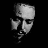 Picture for song 'NO ROOF *Post Malone*' by artist 'XXXMAKEITBOUNCE'