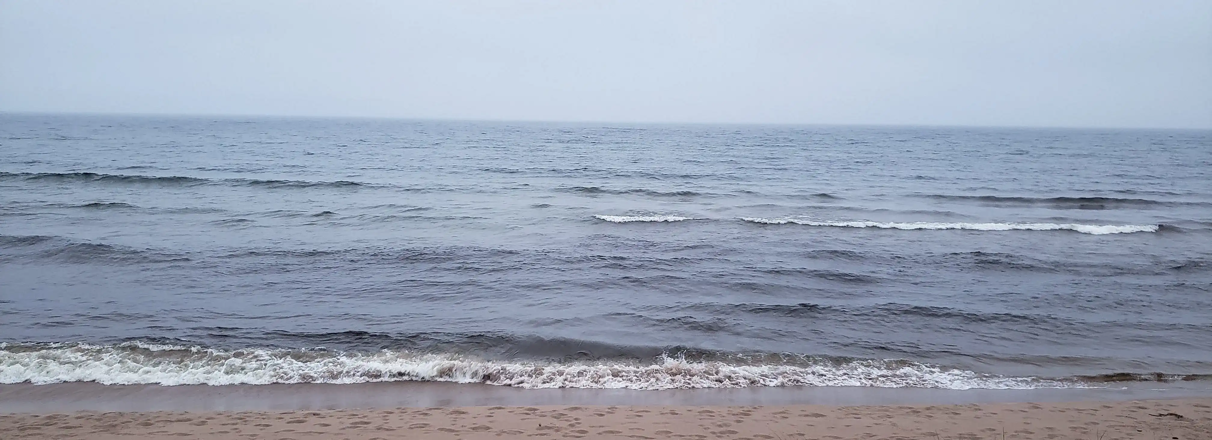 cover pic