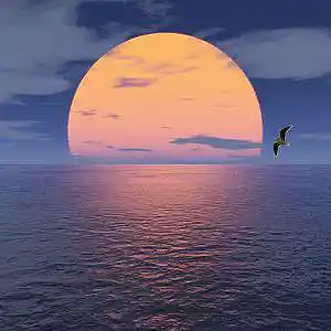 Picture for song 'Horizon' by artist '2Raw Muzik'