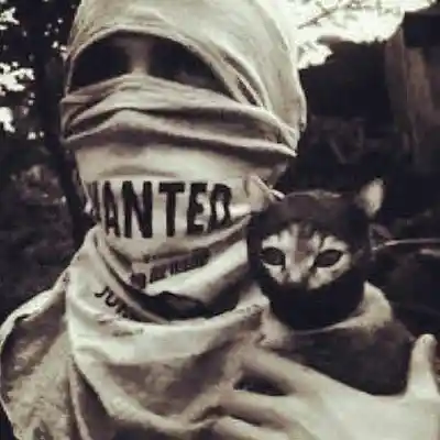 Picture for song 'STILL WAITIN' by artist 'Blu Music Groups'