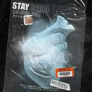 Picture for song 'STAY COLD' by artist 'CRVSTAL CVLT'