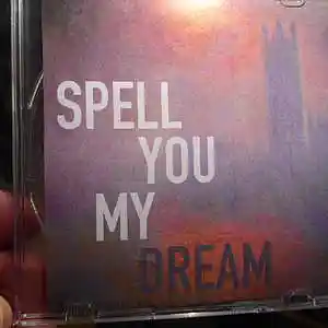 Picture for song 'Spell you my Dream' by artist 'Dutch Tom'