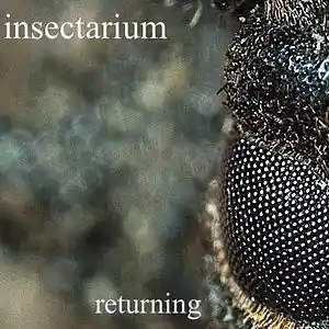 Picture for song '01 the call' by artist 'insectarium'