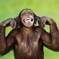 Picture for song 'No One Is Listening' by artist 'James Dunnet'