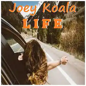 Picture for song 'Life' by artist 'Joey Koala'