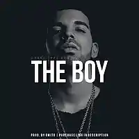 Picture for song 'The Boy' by artist 'Omito'