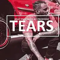 Picture for song '*Soulful* Tears' by artist 'Proffeny'
