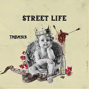Picture for song 'Street Life' by artist 'TMBM313'