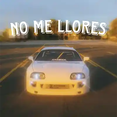Picture for song '"NO ME LLORES" PLUGGNB x New Jazz x Sample RnB' by artist 'TygerontheTrack'