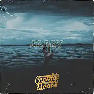 Picture for song 'FUTURE x TRAVIS SCOTT type *Sorry*' by artist 'Cocktail Beats'