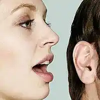 Picture for song 'What She Said' by artist 'Lee Shapiro'