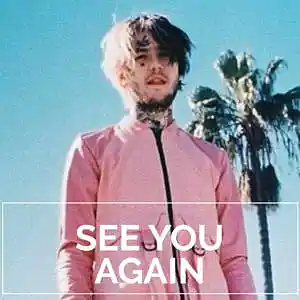 Picture for song 'SEE YOU AGAIN / Lil Peep Type Beat' by artist 'Le Mak Music'