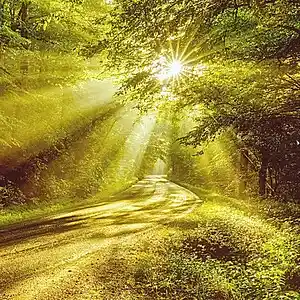 Picture for song 'Lord Of Light' by artist 'TimM Songs'