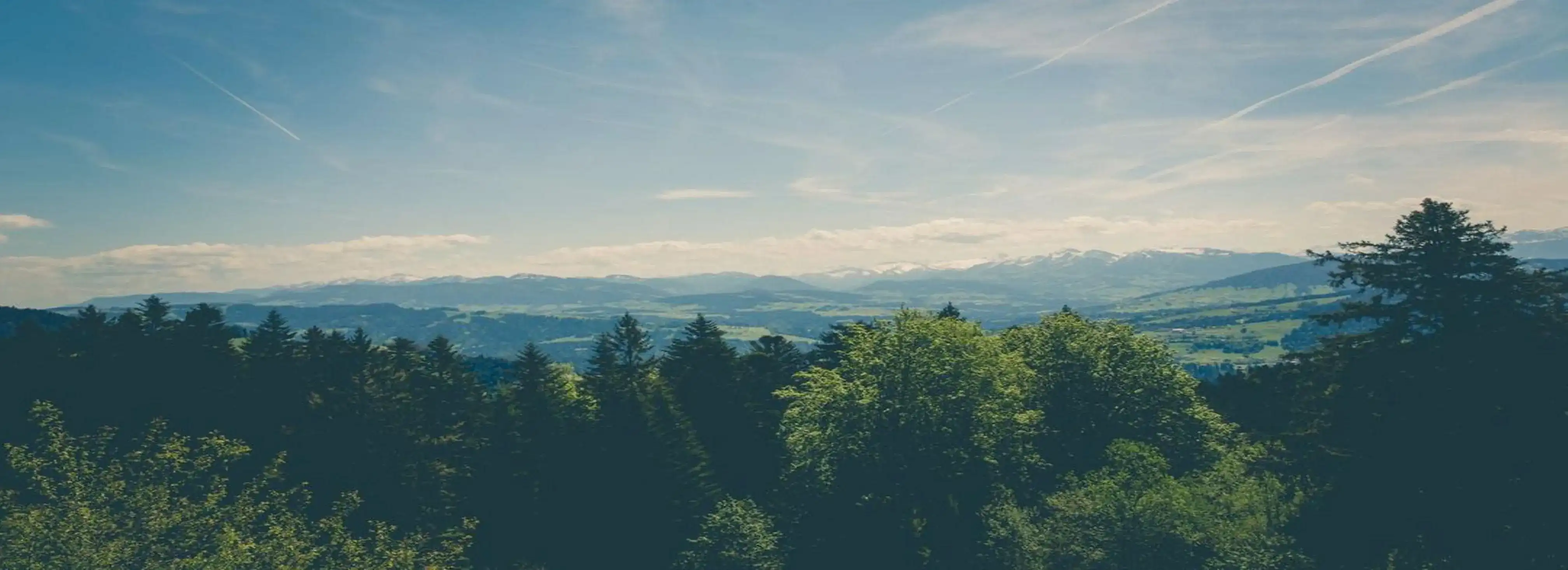 cover pic