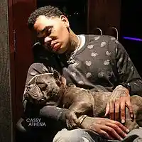 Picture for song 'Voucher taggedmp3' by artist 'EverythingIdoisMajah'