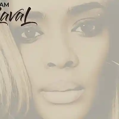 Picture for song 'Never Cared' by artist 'I AM LAVAL'