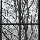 Picture for song 'Melted Snow.mp3' by artist 'Melodic Euphoria'