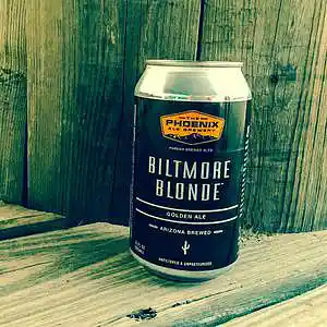 Picture for song 'Biltmore Blonde' by artist 'paul gorman and the hypnotist collectors'