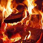 Picture for song 'Phoenix' by artist 'P-Scat Beats'