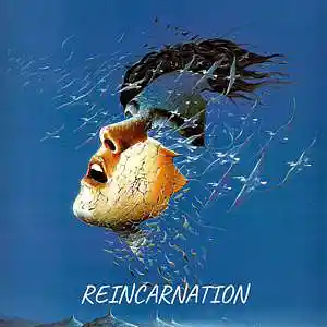 Picture for song 'Reincarnation' by artist 'MOLODOi'