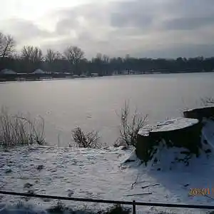 Picture for song 'Paranormal 8 (Beta Consciousness Remix)' by artist 'Restsound'