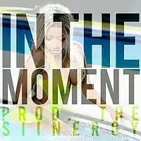 Picture for song 'In The Moment | *Hit* | FREE DL' by artist 'The Siinergy'